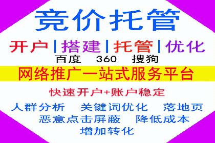 百度广告投放策略与效果评估案例